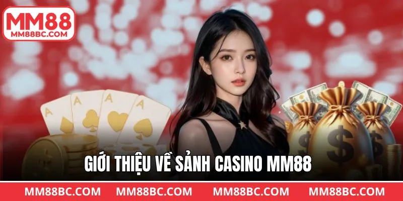 Khám phá những nét chính về danh mục được săn đón Khám phá những nét chính về danh mục được săn đón